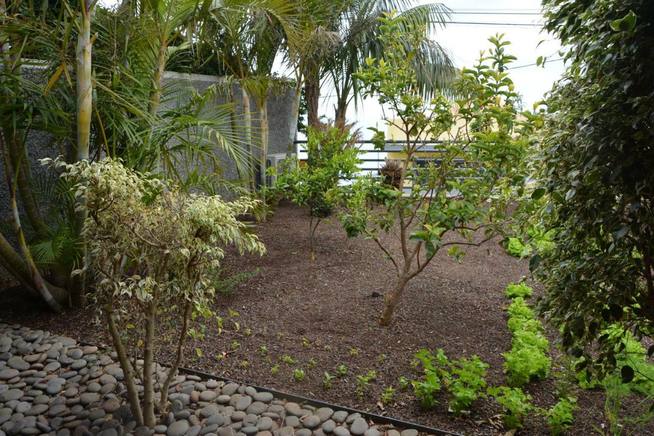 Sea And Sun 4 You - Choupana House Funchal (Madeira) Exterior foto