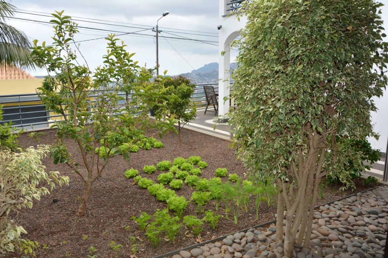 Sea And Sun 4 You - Choupana House Funchal (Madeira) Exterior foto